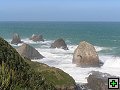 thn_The Catlins Coast 020.jpg